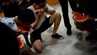 吃瓜活动现场回顾,吃瓜群众狂欢盛典精彩回顾