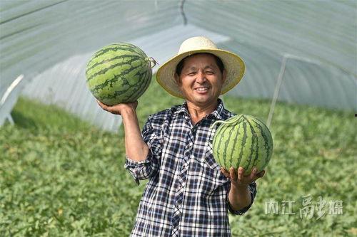 北邵吃瓜,揭秘娱乐圈背后的那些事儿