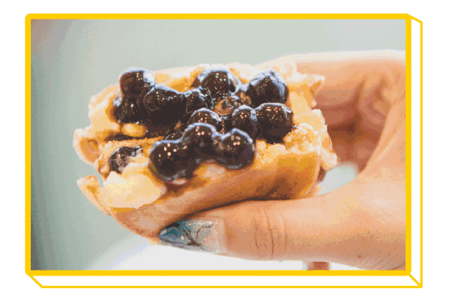 网红珍珠吃瓜,趣味横生引网友热议